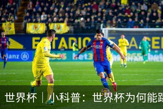 世界杯｜小科普：世界杯为何能踢出那么大的分差？